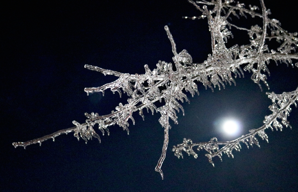 Nature In Class B By Shelby Lukowski For Ice Moon FEB-2019.jpg